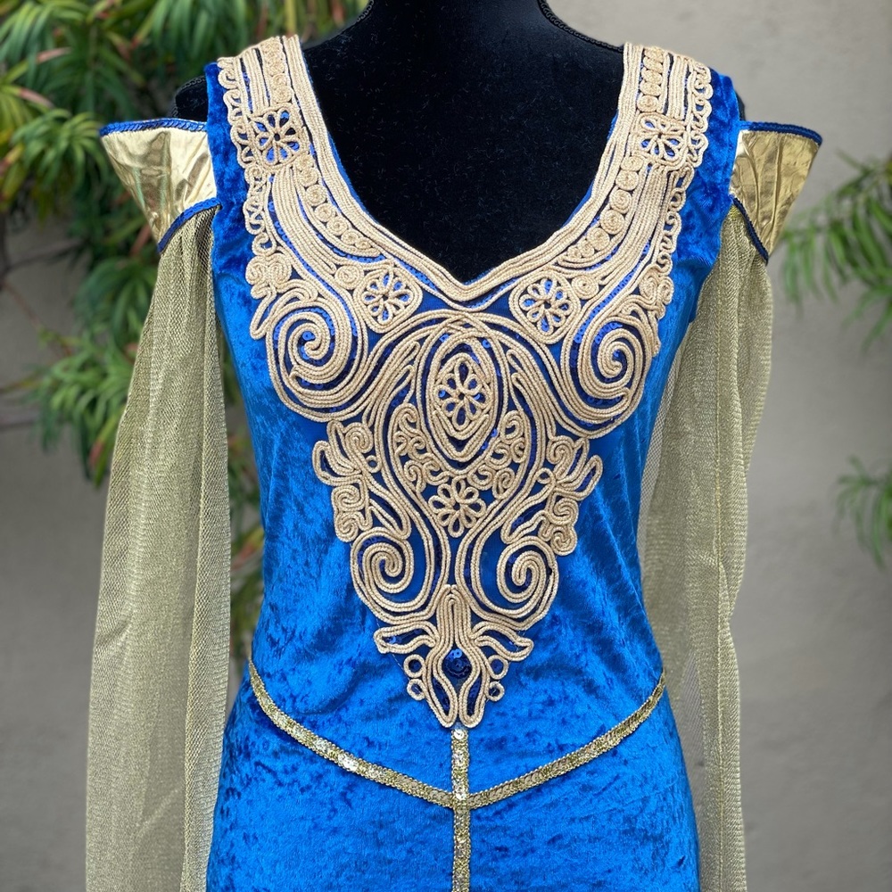 Medieval Halloween Costume